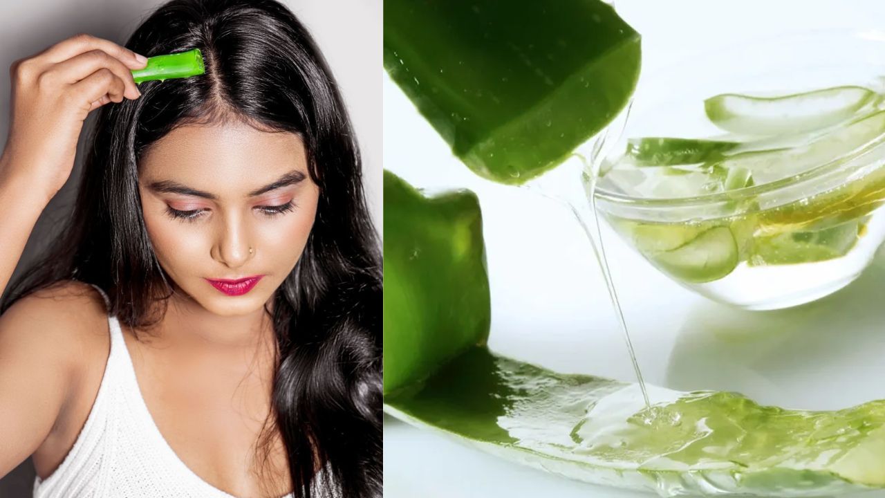Aloe Vera Gel: చలికాలంలో చుండ్రుకు దూరంగా ఉండాలంటే కలబందను ఇలా ఉపయోగిస్తే సరి