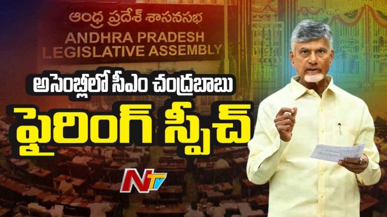 CM Chandrababu: మహిళలపై అఘాయిత్యాలు.. సీఎం సీరియస్‌ వార్నింగ్‌