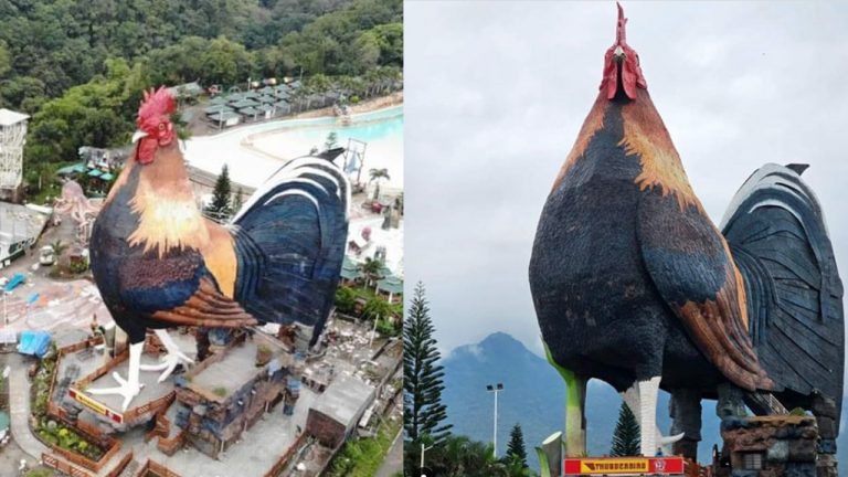 Guinness Record  : ప్రపంచంలోనే అతిపెద్ద కోడి ఆకారంలో హోటల్…  గిన్నిస్ వరల్డ్ రికార్డ్స్‌లో చోటు