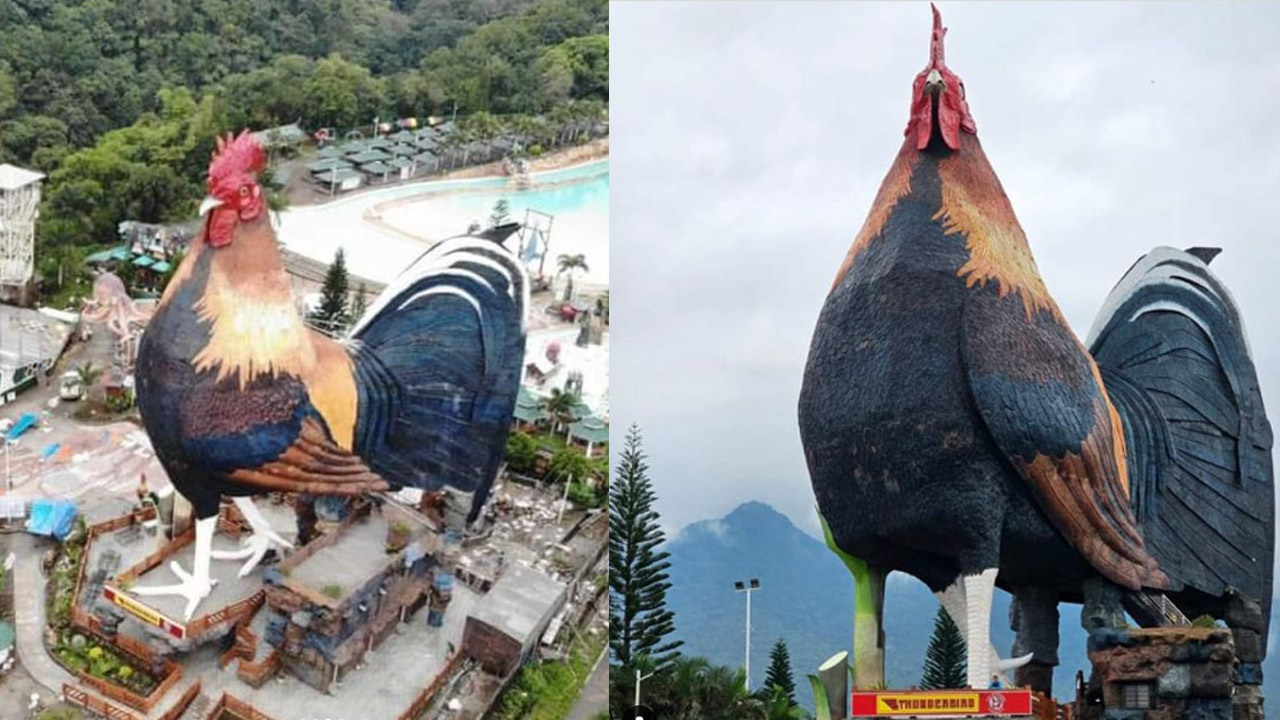 Guinness Record  : ప్రపంచంలోనే అతిపెద్ద కోడి ఆకారంలో హోటల్…  గిన్నిస్ వరల్డ్ రికార్డ్స్‌లో చోటు