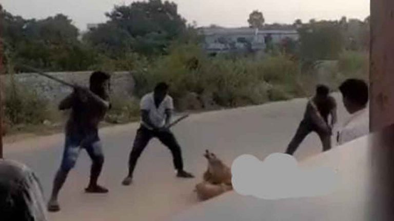 Satanic : పైశాచికం.. వెంటాడి  వీధికుక్కల్ని కర్రలతో కొట్టి చంపిన దుండగులు