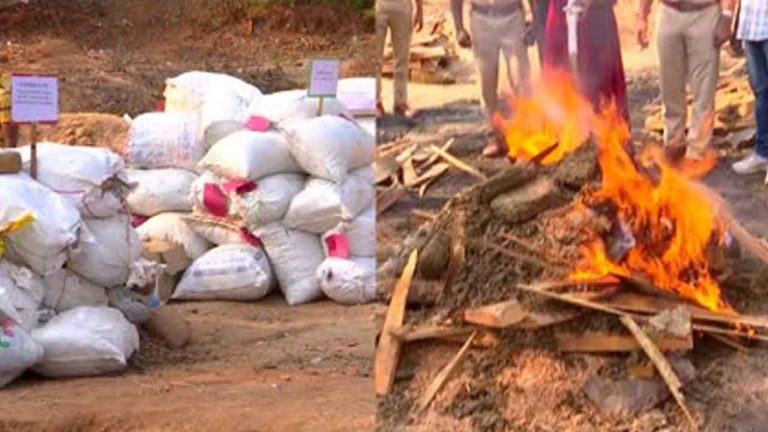 Ganja : రూ.11.61 కోట్ల గంజాయి, డ్రగ్స్‌ను కాల్చేసిన పోలీసులు