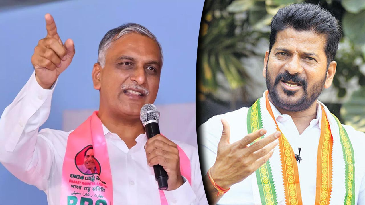 Harish Rao: బాసర సరస్వతి తల్లి మనసు తల్లడిల్లుతుంది..
