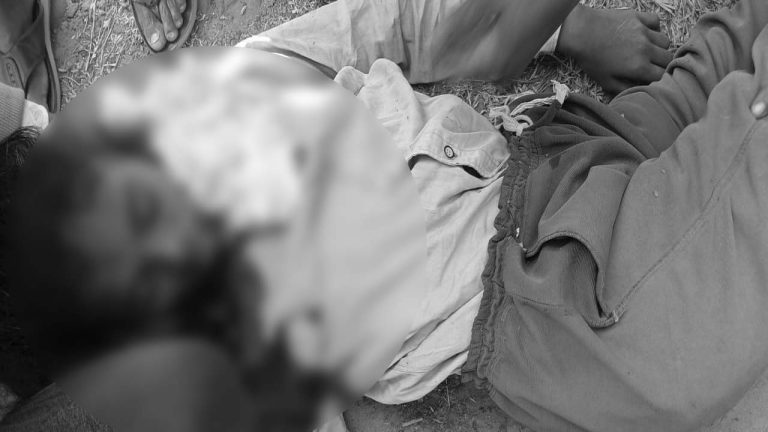 Komaram Bheem: కొమురంభీం జిల్లాలో దారుణం.. పులి దాడిలో మహిళ మృతి