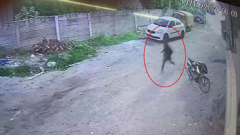 Chain Snatchig: పటాన్ చెరులో చైన్ స్నాచింగ్ కలకలం.. తులసి చెట్టుకు పూజ చేస్తుండగా ఘటన..