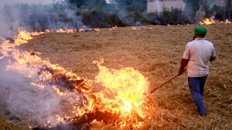 Punjab: పంజాబ్‌లో భారీగా పంట వ్యర్థాల కాల్చివేత.. పెరిగిన వాయు కాలుష్యం