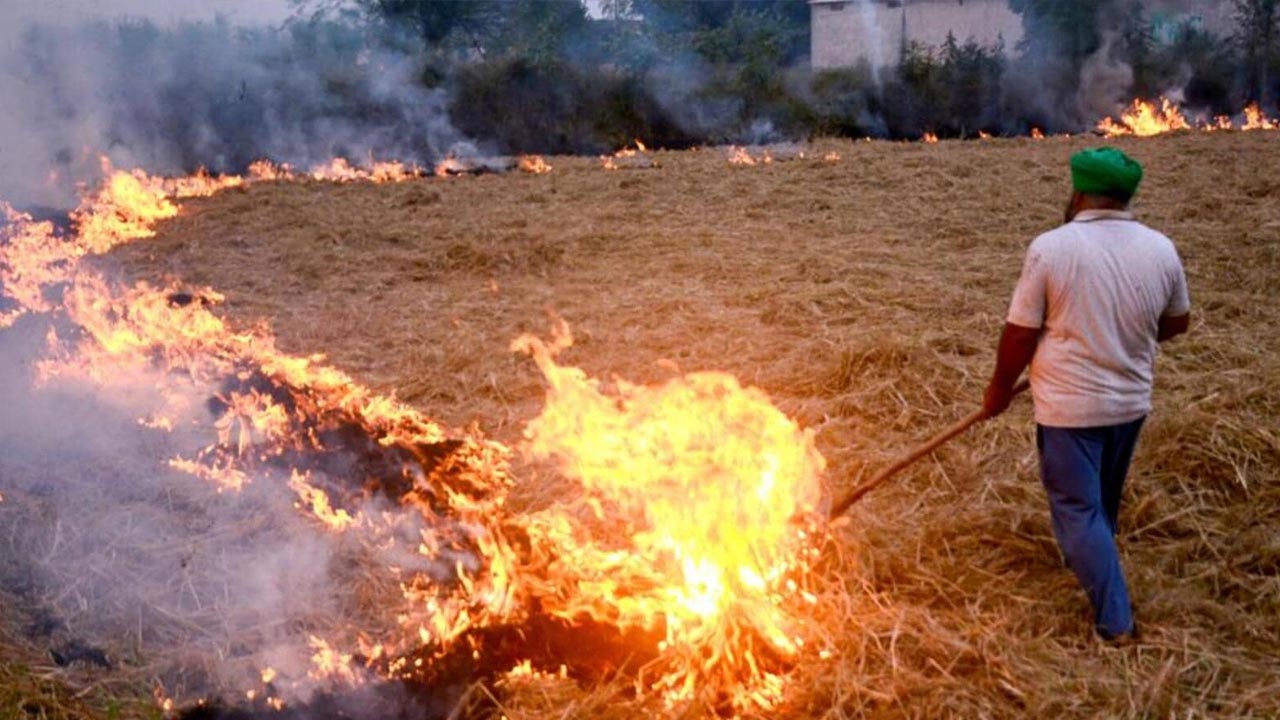 Punjab: పంజాబ్‌లో భారీగా పంట వ్యర్థాల కాల్చివేత.. పెరిగిన వాయు కాలుష్యం