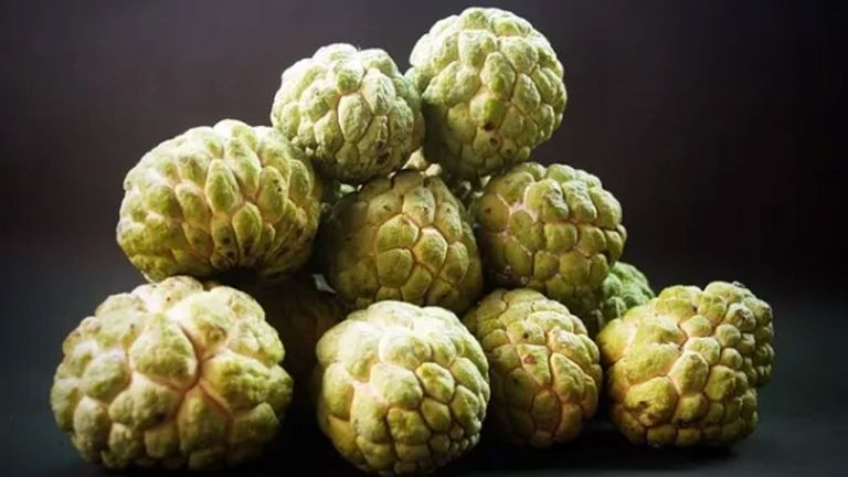 Sitaphal : బాలానగర్​ సీతాఫలానికి భౌగోళిక గుర్తింపుకు ఉద్యాన వర్సిటీ ప్రయత్నాలు