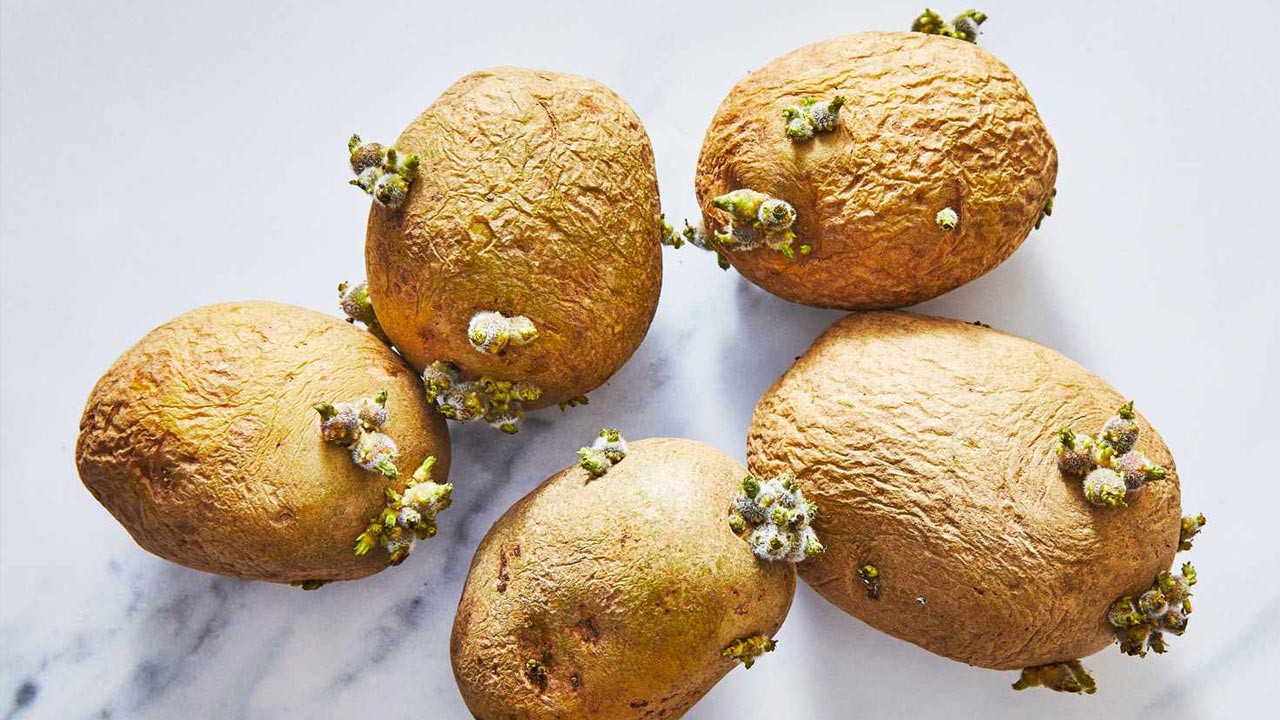 Health: మొలకలు వచ్చిన ఆలుగడ్డ తింటున్నారా..? ఎంత ప్రమాదకరమంటే