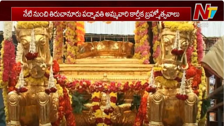 Tiruchanoor: కార్తీక బ్రహ్మోత్సవాలకు ముస్తాబైన తిరుచానూరు..