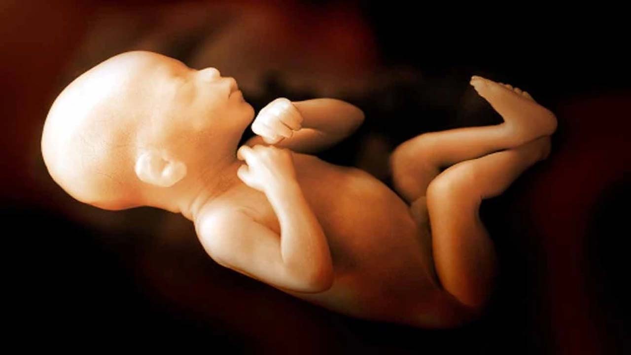 UP: దారుణం.. టాయిలెట్‌ పైపులో కూరుకుపోయిన ఆరు నెలల పిండం!