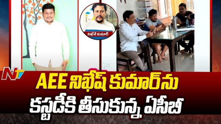 AEE Nikesh Kumar: రూ.500 కోట్లకు పైగా అక్రమ ఆస్తులు.. ఏసీబీ కస్టడీకి ఏఈఈ నిఖేష్