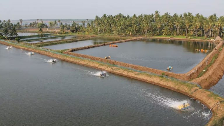 Aqua Farmers: ఆక్వా రైతుల దారుణం.. కార్యకర్తను స్తంభానికి కట్టి..!