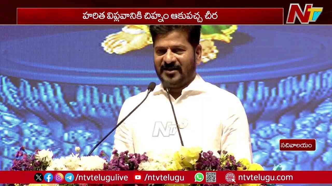 CM Revanth Reddy: మన సంస్కృతి, సంప్రదాయానికి ప్రతిరూపం తెలంగాణ తల్లి