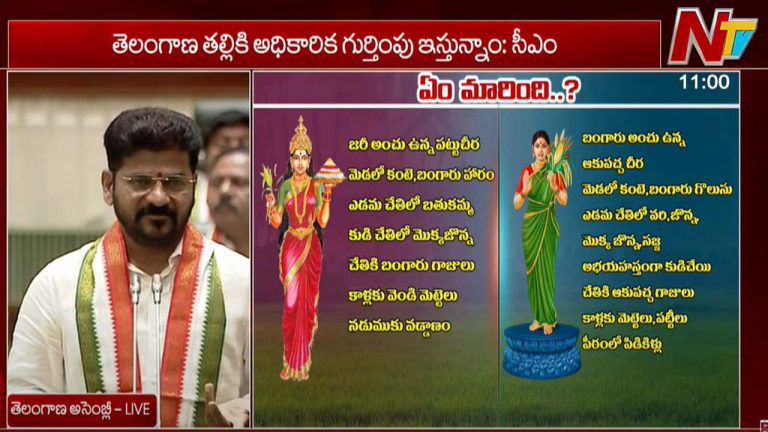 Telangana Assembly 2024: తెలంగాణ తల్లికి అధికార గుర్తింపు.. అసెంబ్లీలో రేవంత్ రెడ్డి..