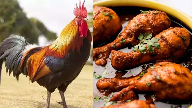 Chhattisgarh: బ్యాంక్ మేనేజర్ కక్కుర్తి.. లోన్ ఇప్పిస్తానని రూ.39 వేల చికెన్ ఫుడ్ ఆరగించిన ఘనుడు