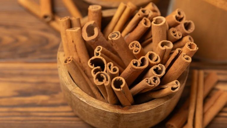 Cinnamon Benefits: అనేక అనారోగ్య సమస్యలు.. ఒకే పరిష్కారం దాల్చినచెక్క