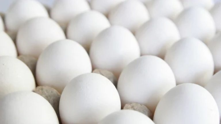 Egg Price Hike: కూరగాయలు మాత్రమే కాదు.. కోడిగుడ్డు రేటూ పెరుగుతోంది! చుక్కలు చూస్తున్న సామాన్యులు