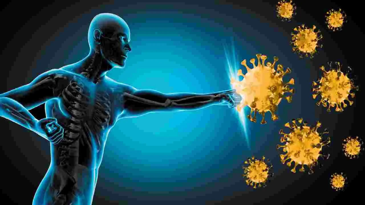 Immunity Booster: మీకు ఇమ్యూనిటీ తగ్గిందా..? పెంచే ఆయుర్వేద ఔషధం ఇదే!