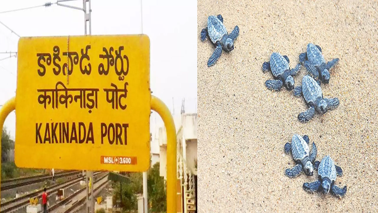 Kakinada: కాకినాడ తీర ప్రాంతంలో దుర్గంధం.. అధికారులకు డిప్యూటీ సీఎం ఆదేశాలు