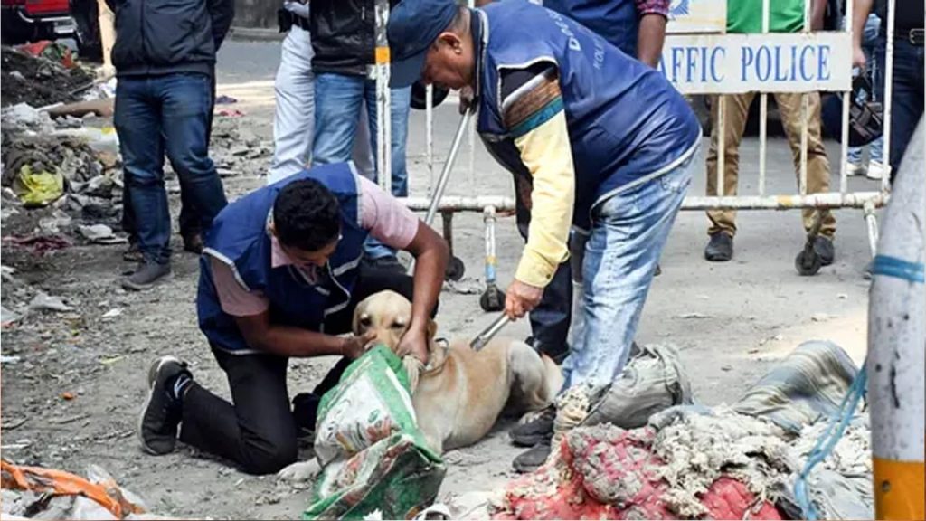 Kolkata Murder