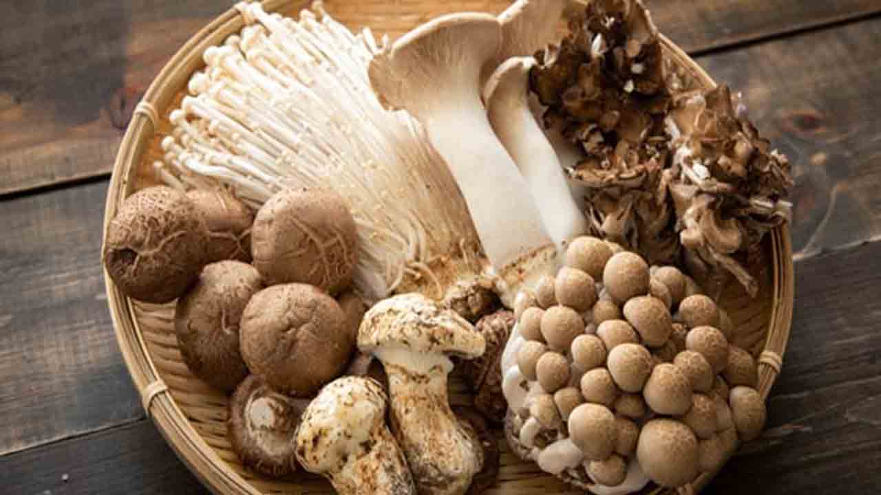 Health: చలికాలంలో పుట్టగొడుగులు సూపర్ ఫుడ్.. తిన్నారంటే ఆ సమస్యలు రావు