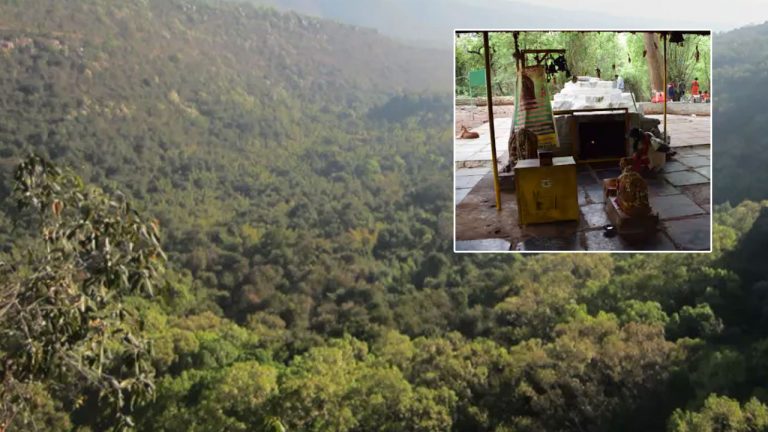 Nallamala Forest: నల్లమల ఫారెస్ట్‌లో తప్పిపోయిన 15 మంది భక్తులు.. డయల్‌ 100కు కాల్‌..