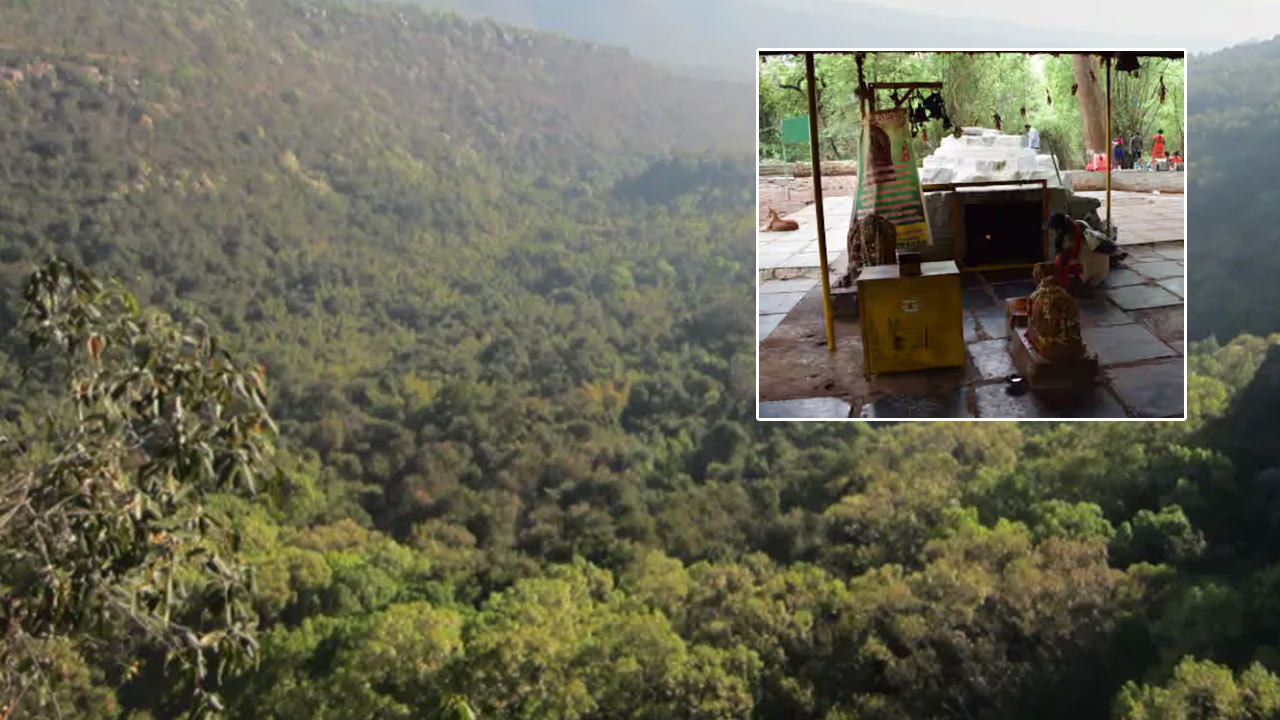 Nallamala Forest: నల్లమల ఫారెస్ట్‌లో తప్పిపోయిన 15 మంది భక్తులు.. డయల్‌ 100కు కాల్‌..