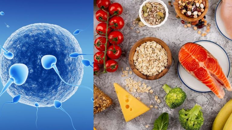 Healthy Diet For Fertility: సంతానోత్పత్తి సమస్యలతో ఇబ్బందులా? అయితే వీటిని ప్రయత్నించాల్సిందే