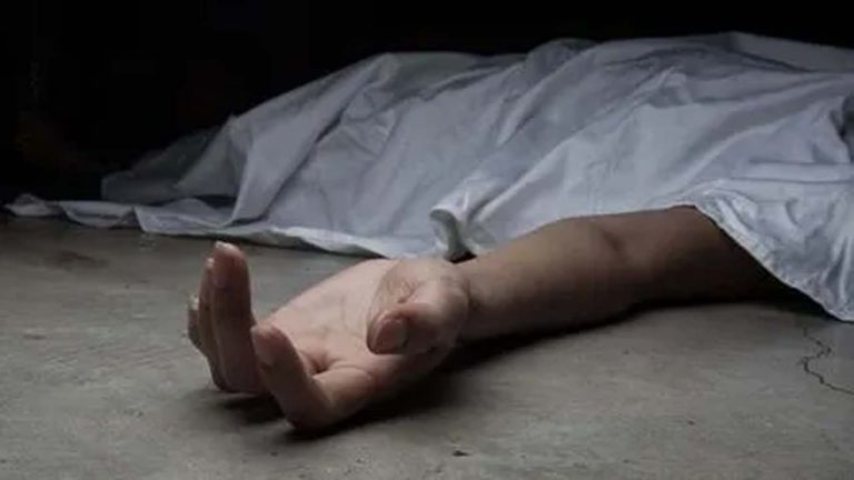 India-Pak Border: బీఎస్‌ఎఫ్ కానిస్టేబుల్ ఆత్మహత్య.. తుపాకీతో కాల్చుకుని సూసైడ్