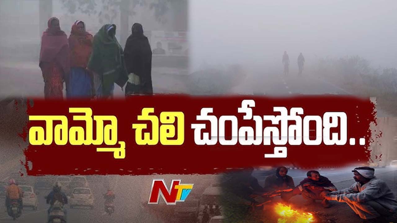 TG Cold Weather: మరోసారి పడిపోయిన ఉష్ణోగ్రతలు.. పలుచోట్ల కమ్ముకున్న పొగమంచు