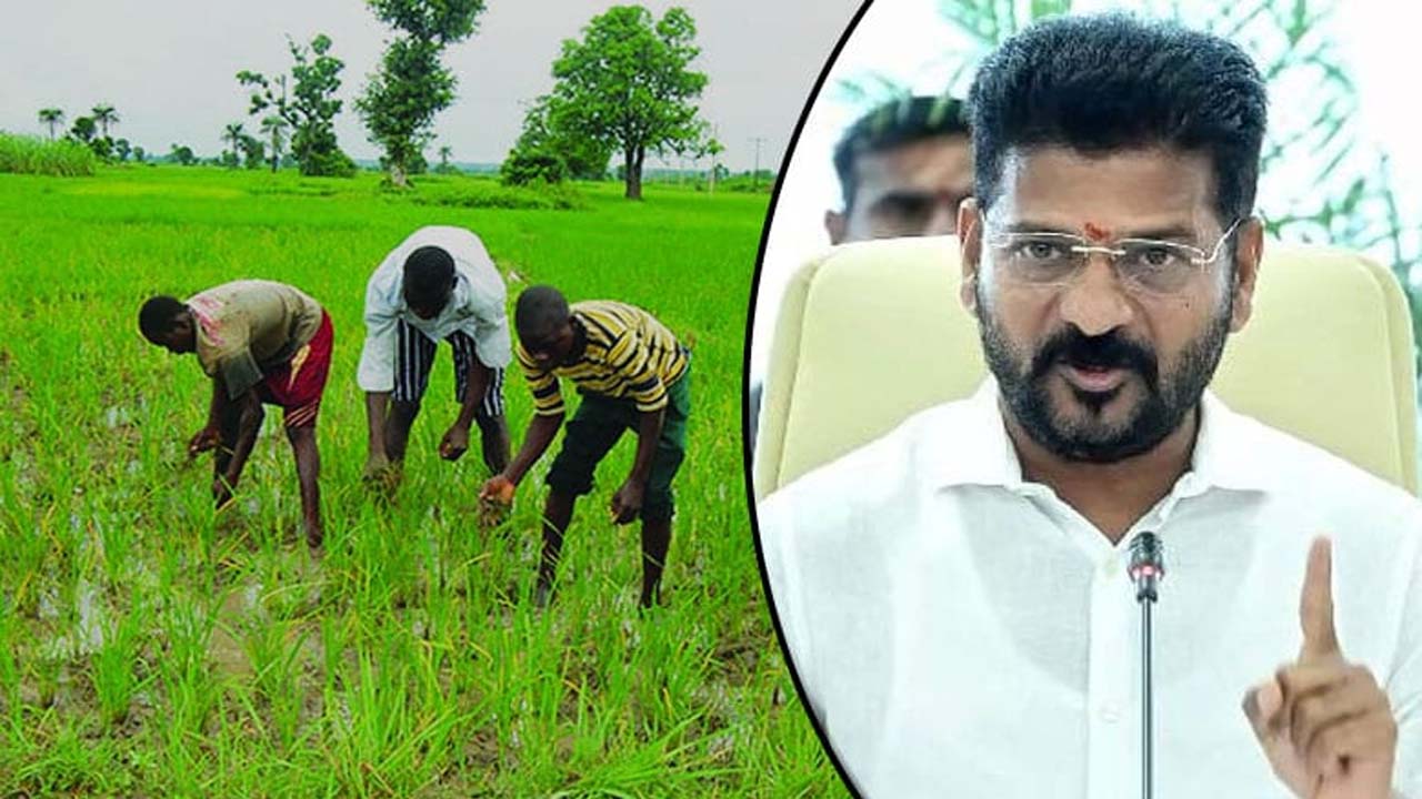 Telangana News: కాళేశ్వరం లేకున్నా.. ధాన్యం దిగుబడిలో చరిత్ర సృష్టించిన తెలంగాణ..