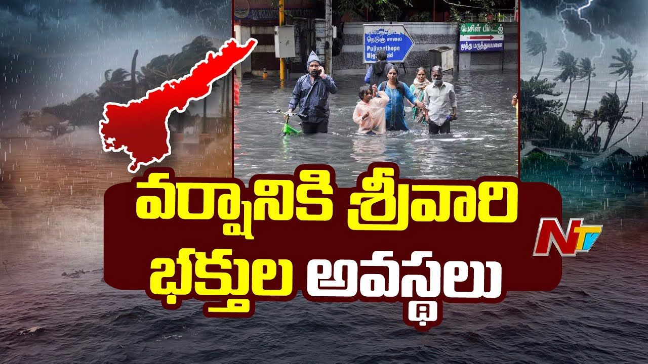 Tirupati Rains: అల్పపీడనం ప్రభావంతో తిరుపతి జిల్లాలో భారీ వర్షాలు.. పొంగిపొర్లుతున్న వాగులు