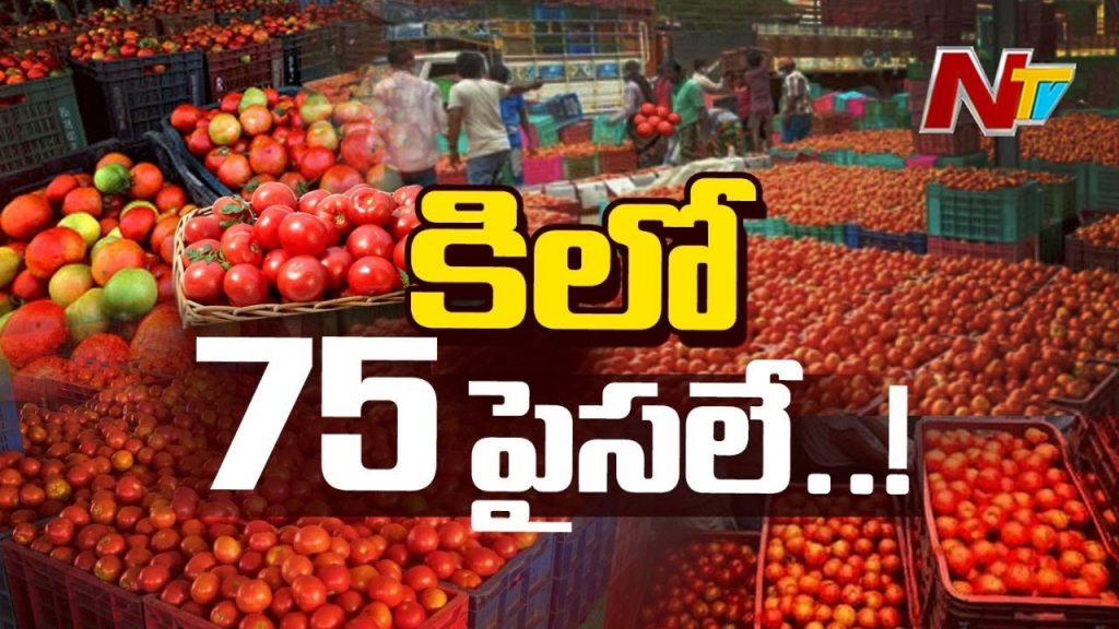 Tomato Price