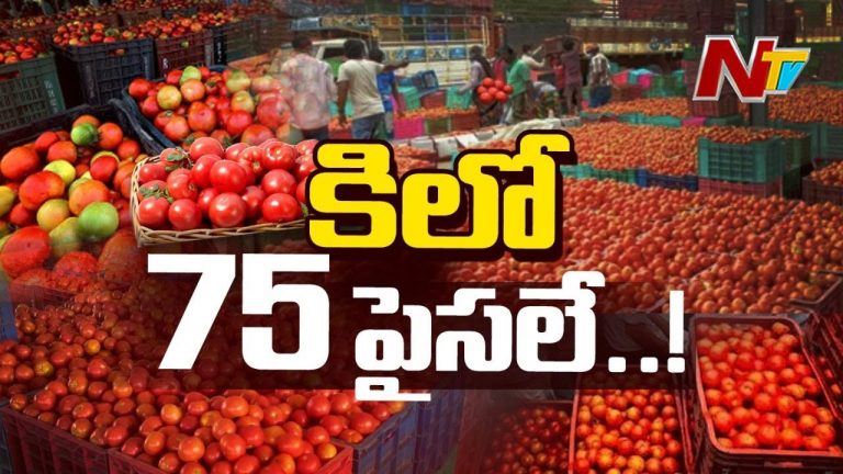 Tomato Price: కిలో టమాటా 75 పైసలే.. లబోదిబోమంటున్న రైతులు