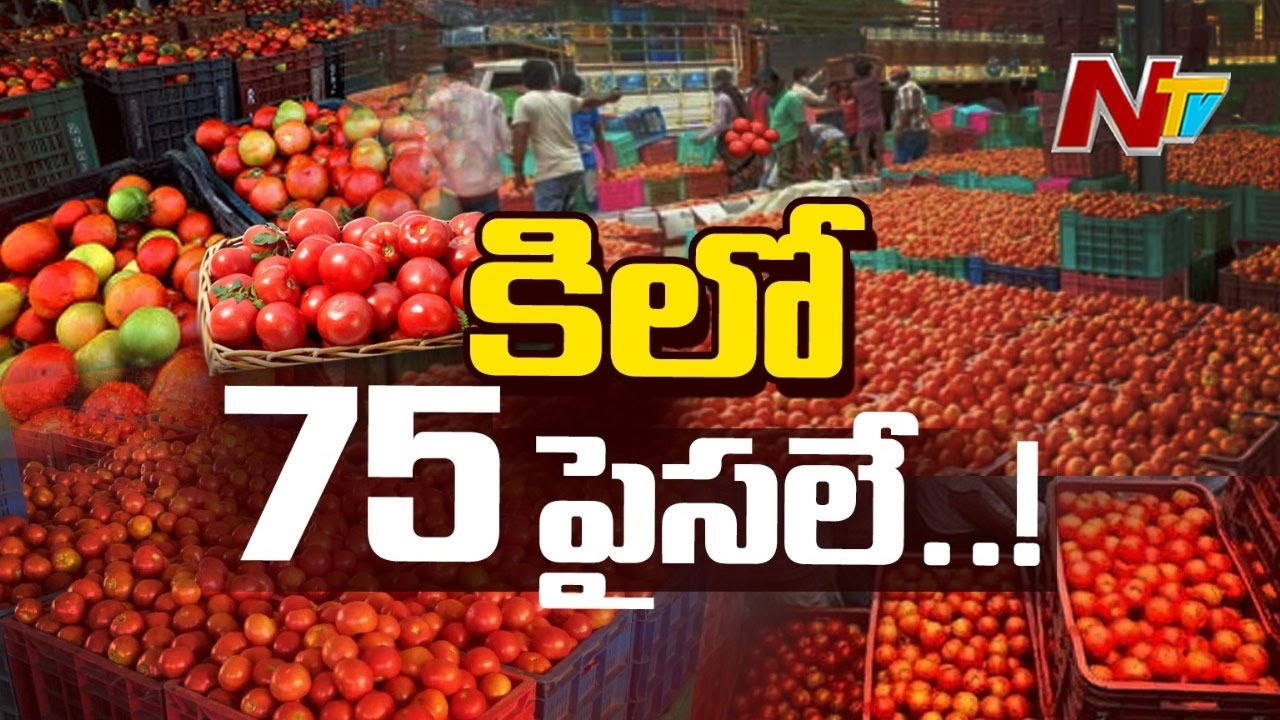 Tomato Price: కిలో టమాటా 75 పైసలే.. లబోదిబోమంటున్న రైతులు