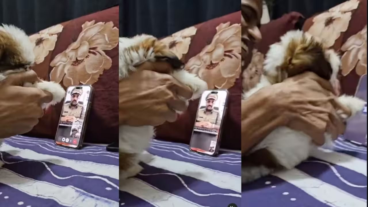 Viral News: డిజిటల్ అరెస్ట్ పేరుతో వీడియో కాల్ .. యువకుడు ఏం చేశాడో చూడండి..(వీడియో)