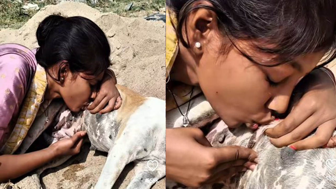 Viral Video: పాపులర్ కావడానికి పిచ్చి ప్రయత్నం.. పడుకున్న వీధి కుక్క పాలు తాగిన యువతి