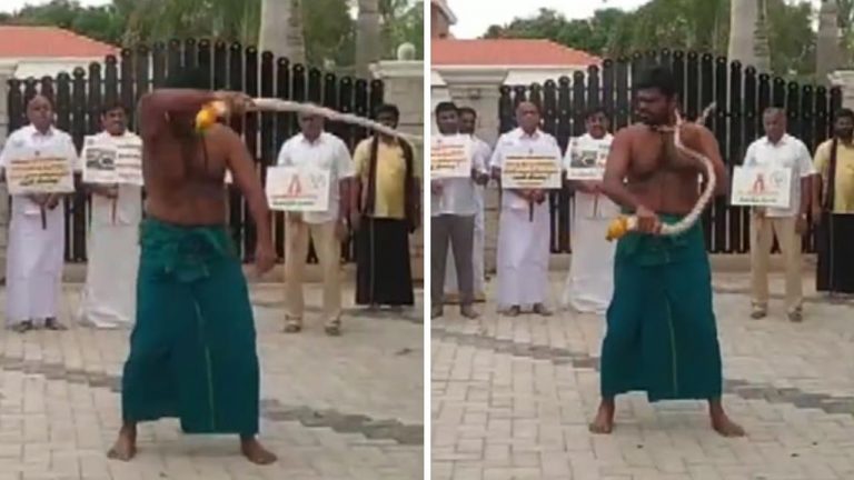 K. Annamalai: కొరడా దెబ్బలతో మొక్కు చెల్లించుకున్న తమిళనాడు బీజేపీ చీఫ్