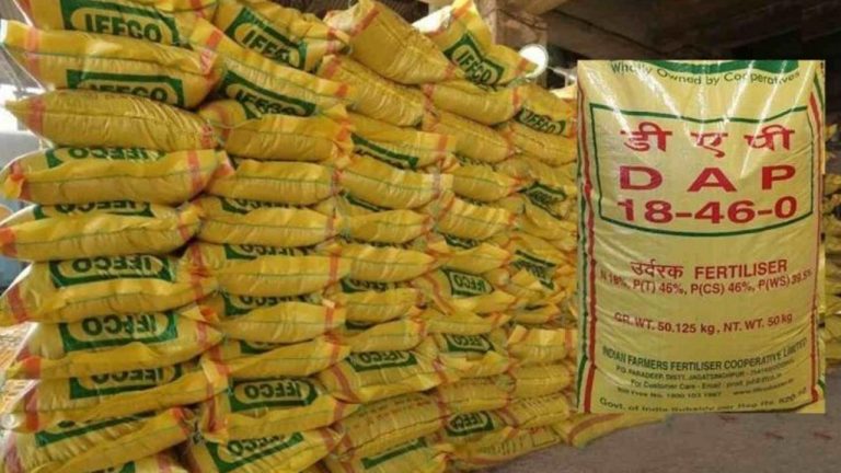 DAP Prices: రైతులకు షాక్.. జనవరి నుంచి పెరగనున్న డీఏపీ ధర