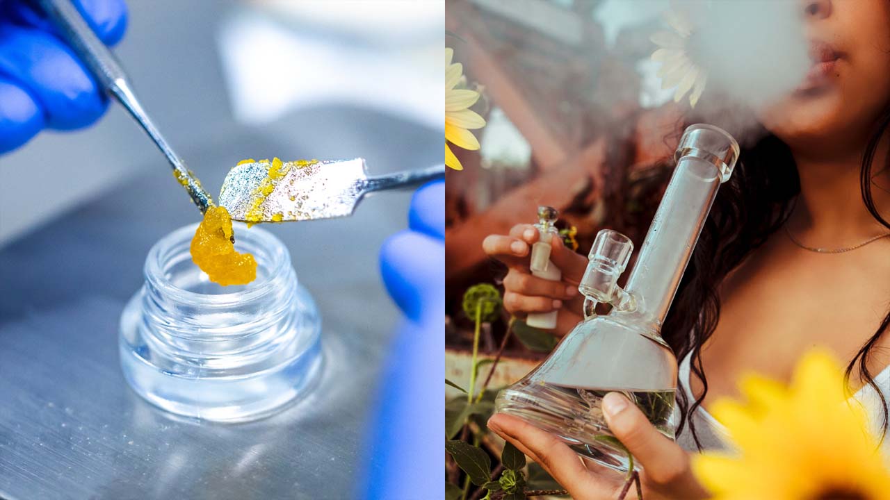 Hashish Oil: చందానగర్‌లో లక్షల విలువైన హషిష్ ఆయిల్ పట్టివేత..