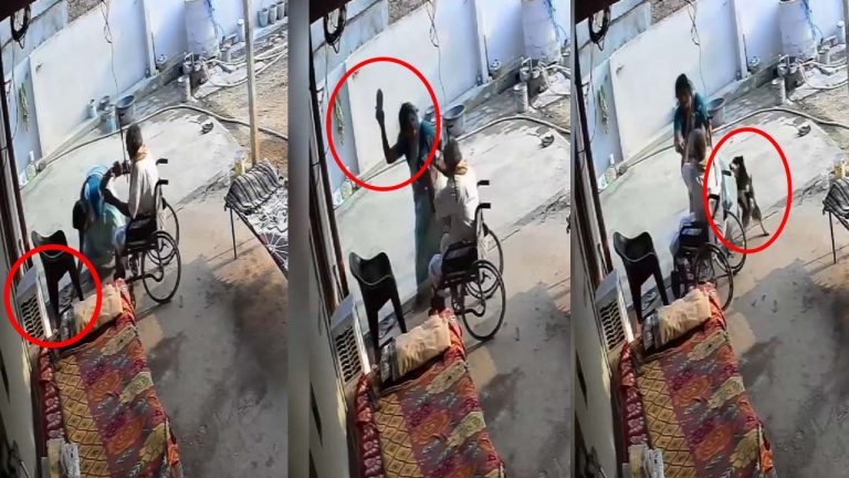 Nalgonda: అమానుషం.. మామ మొఖంపై చెప్పుతో కొట్టిన కోడలు..