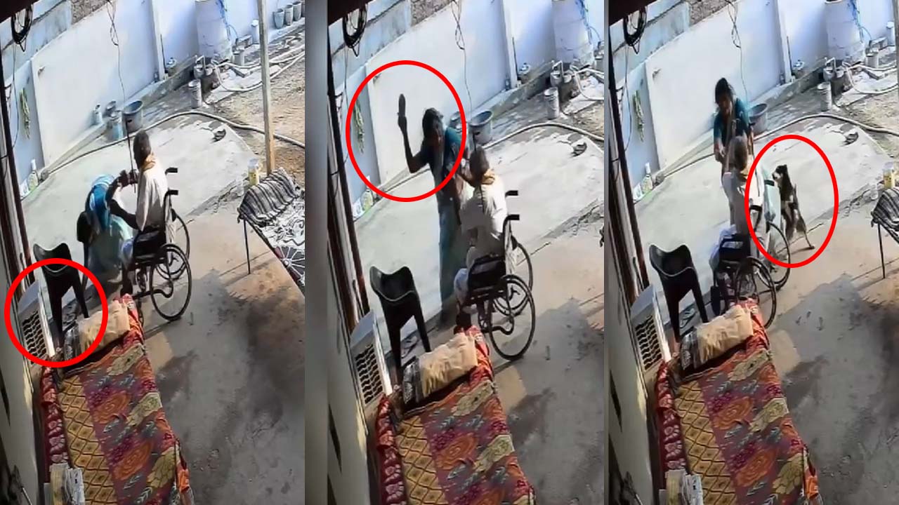 Nalgonda: అమానుషం.. మామ మొఖంపై చెప్పుతో కొట్టిన కోడలు..