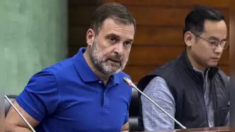 Rahul Gandhi: బీజేపీ ఎంపీలే మాపై కర్రలతో దాడి చేశారు..