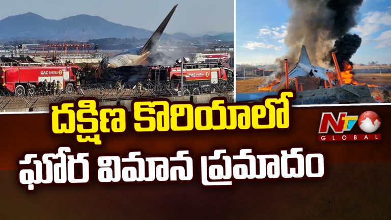 South Korea: పక్షి ఢీకొనడం, గేర్ ఫెయిల్యూర్, బెల్లీ ల్యాండిగ్.. 179 మందిని బలి తీసుకున్న కారణాలు..