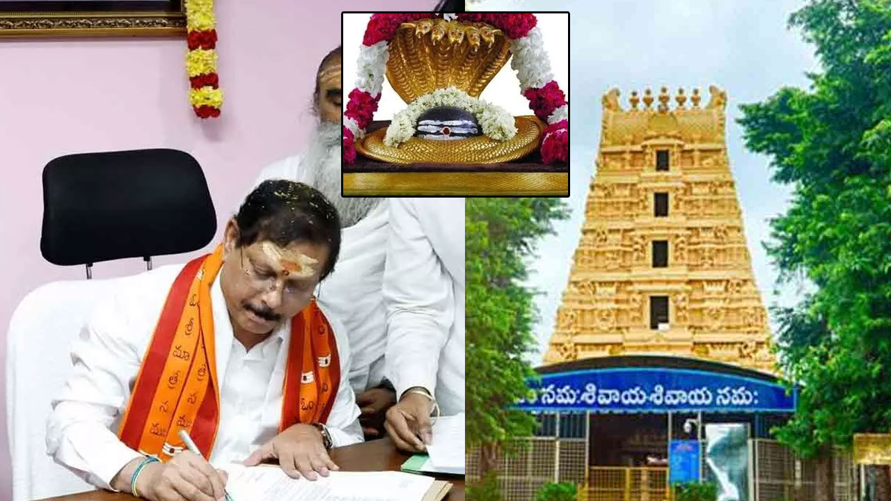Srisailam: శ్రీశైలంలో స్పర్శదర్శనాలపై కీలక నిర్ణయం..