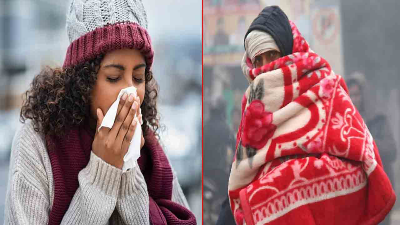 Winter Care Tips: పెరుగుతోన్న చలి.. వ్యాధుల బారిన పడకుండా ఈ చర్యలు తీసుకోవాలి..!