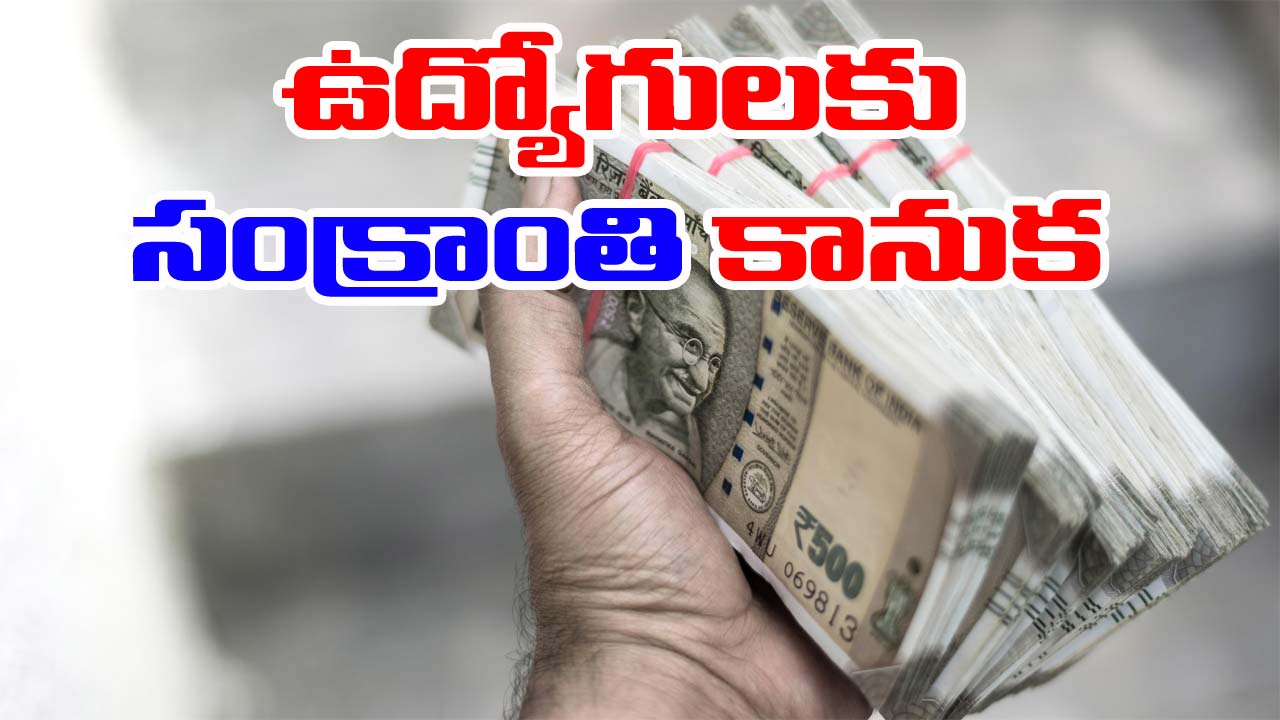 Central Cabinet Decisions: కేంద్ర ప్రభుత్వ ఉద్యోగులకు మోడీ కేబినెట్ సంక్రాంతి కానుక