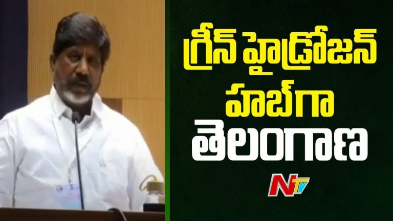 Bhatti Vikramarka: గ్రీన్ ఎనర్జీ అభివృద్ధిలో దేశానికి ఆదర్శంగా తెలంగాణ..