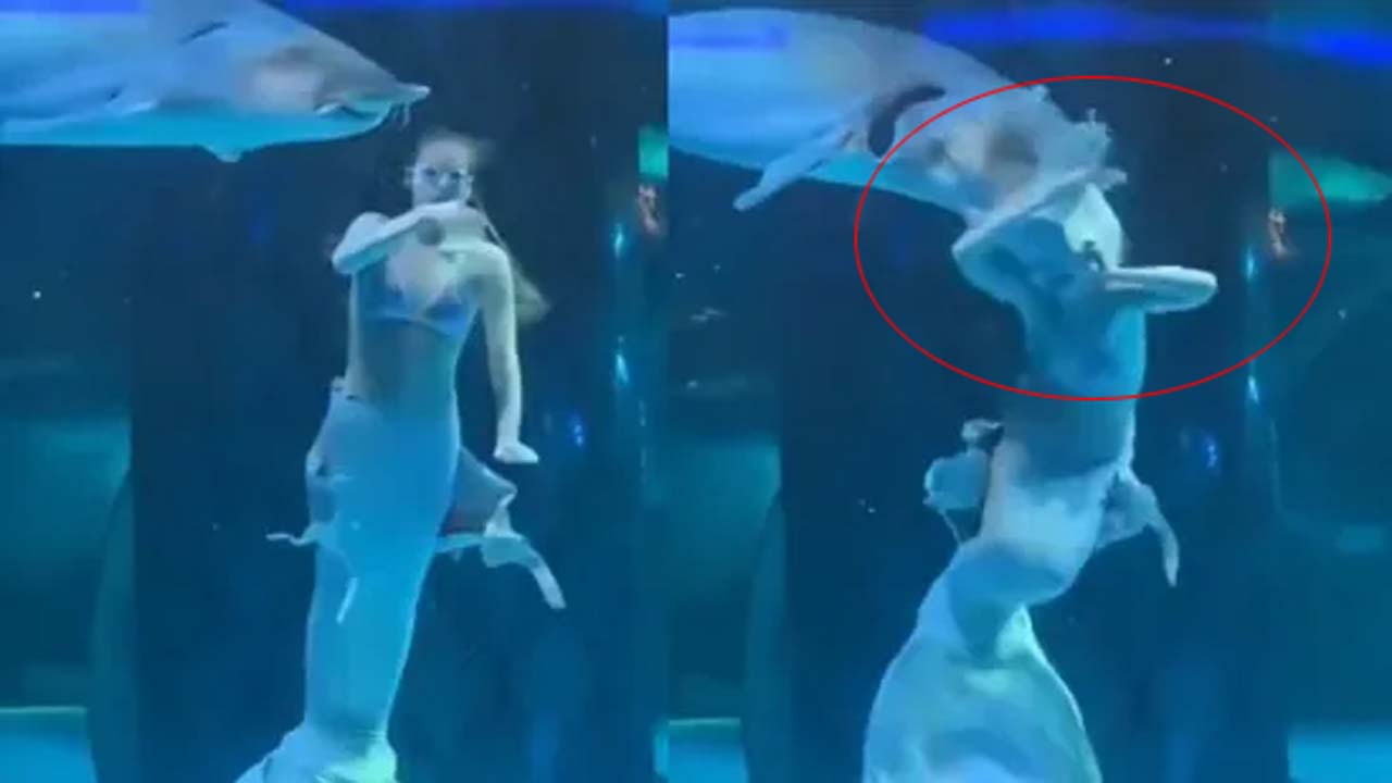 China: అక్వేరియంలో రష్యన్ మత్స్యకన్య ప్రదర్శన.. అమాంతంగా చేప దాడి.. వీడియో వైరల్